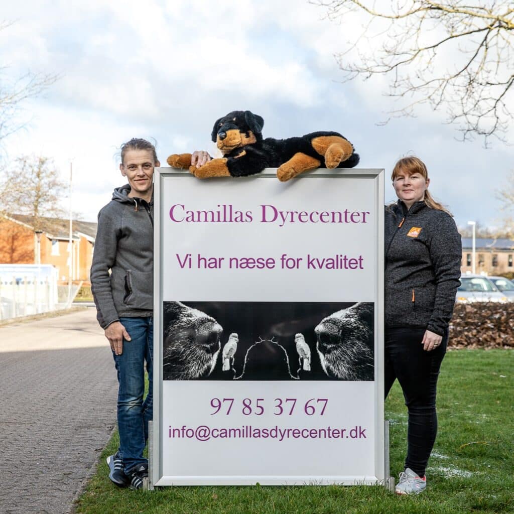 billede linette og camilla